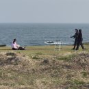 신천자원 | 제주도 올레길 3코스 - B / 신풍 신천 바다목장 / 제주 웨딩 스냅촬영 인기 코스