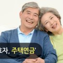 100세시대 이미지