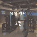 디케이짐 이미지