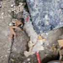 신용식육식당 이미지