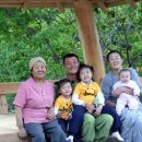 화개농원 이미지