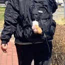 상아지네 이미지