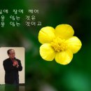 (주)동진테크윈