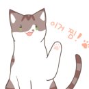그레이스 고양이 병원 이미지