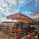 자연풍경 | 전남 순천 가볼 만한 곳 | 압도적인 자연 풍경, 순천만 습지 후기