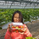 김주원농장 이미지