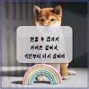천안 강아지분양 고양이분양 나라애견본점 | 분양 후 갑자기 가려운 강아지 식단부터 다시 살펴라