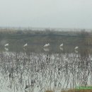 백년지기 이미지