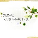 주식회사더세움 이미지