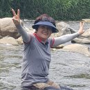 직실농원 이미지