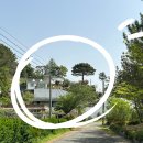 달님민박 이미지