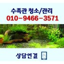강동수족관