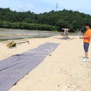 영주 무섬마을 이미지