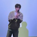 등대지기꼼장어 이미지