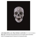 대미안 - 영천시 | 데미안 허스트 전시 국립현대미술관 총정리 (무료 관람 팁 + 할인 예약 방법 + 관람료) 내돈내산 맛집까지