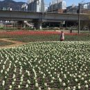 낙동강관리본부 화명생태공원 2 이미지