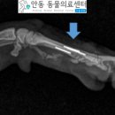 청송동물병원 이미지