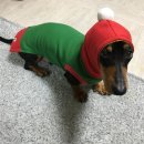 메리코코