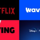 진용미디어 이미지