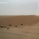 아라비안관광나이트 이미지