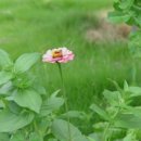 캠프원 관광농원 이미지