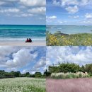 행원환해장성 | [국내 여행] 제주 올레길 20코스- 김녕, 월정리, 환해장성, 평대리, 세화