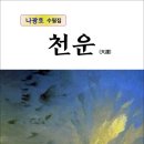 천운전자 이미지