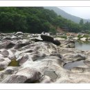 늑천정가든 이미지