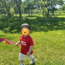 큰사랑꼬마숲어린이집 이미지