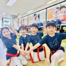 용인대 무궁화 태권도장 이미지