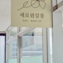 새로핌살롱