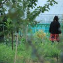 이안농장 이미지