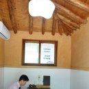 송골새