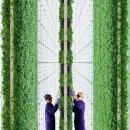 원등농장 이미지