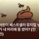 청라블루노바홀 | 인천 아이랑 뮤지컬 추천 | 오즈의 마법사 청라 블루노바홀 후기 다음공연 안내