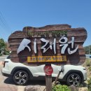 시래원 | 양구 박수근미술관 인근 맛집 / 건강한 시래기 정식 한 상 시래원