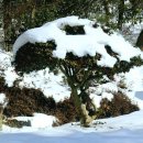 함평자연생태공원 이미지