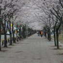 수성못길 이미지