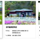 공주머리만들기