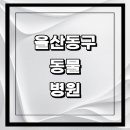 다정동물병원 | 울산 동구 근처 동물병원 추천 정보 | 24시간 잘하는곳 고양이 강아지 중성화 수술 애견 가격 비용...