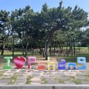 다무포하얀마을고래놀이터 이미지