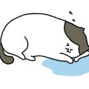 과일애 이미지