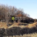 특구로27번길 이미지