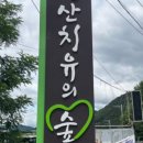 삼보사 | 경산 당일치기 일정