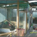 경민농장 이미지