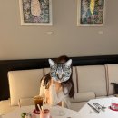 메종 바카라서울 카페 다녀온 후기 BACCARAT❤️💎