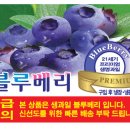애드콤 이미지