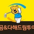 드림골프랜드 이미지