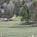 보성목욕탕 | 엄마와 함께한 전남 보성 여행 - 좋았던 장소 추천(솔직 후기, 모녀 여행)