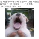 혜미분식 | 1월은 앵주의 달